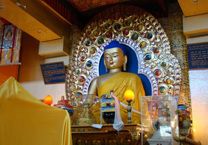 Chandigarh to Dharamshala (Mcleodganj) Tour Package