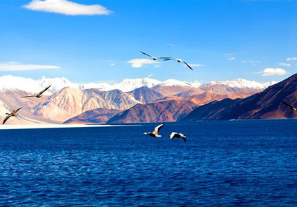 10-Day Scenic Leh & Ladakh Tour Starting from Chandigarh