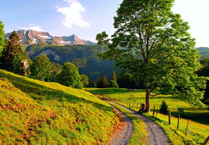 4 Days Chandigarh to Dalhousie Nature & Wildlife Tour (Return)