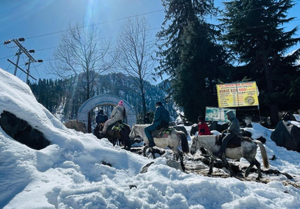 Chandigarh Start 9 Days Shimla–Manali–Dharamshala–Dalhousie Tour