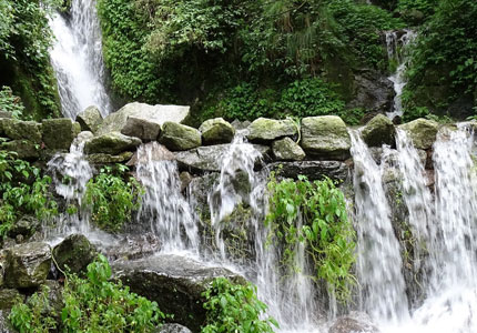 4 Days Chandigarh to Dalhousie Nature & Wildlife Tour (Return)