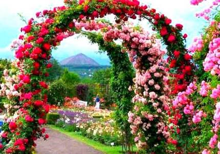 Amritsar-Chandigarh-Shimla Scenic Tour